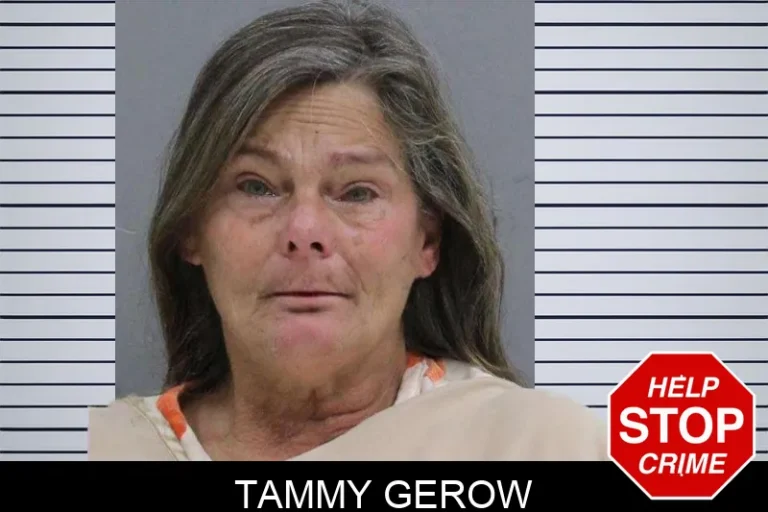Tammy Gerow mugshot – Rabun County , Georgia Tammy Gerow