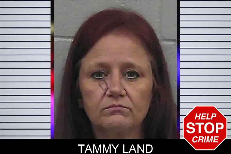 Tammy Land mugshot