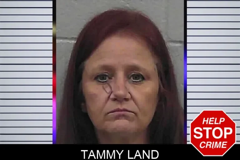 Tammy Land