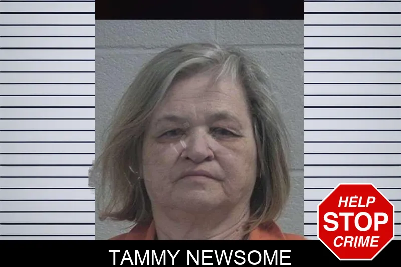 Tammy Newsome mugshot