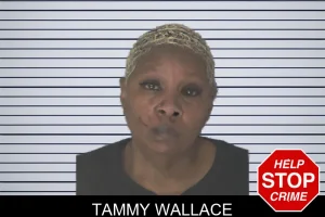 Tammy Wallace mugshot