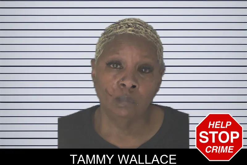 Tammy Wallace mugshot