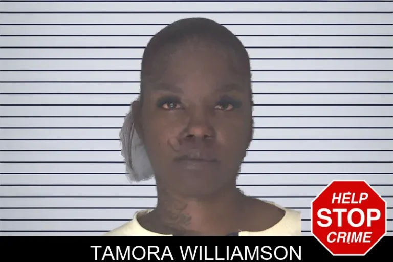 Tamora Williamson mugshot – Douglas County , Georgia Tamora Williamson
