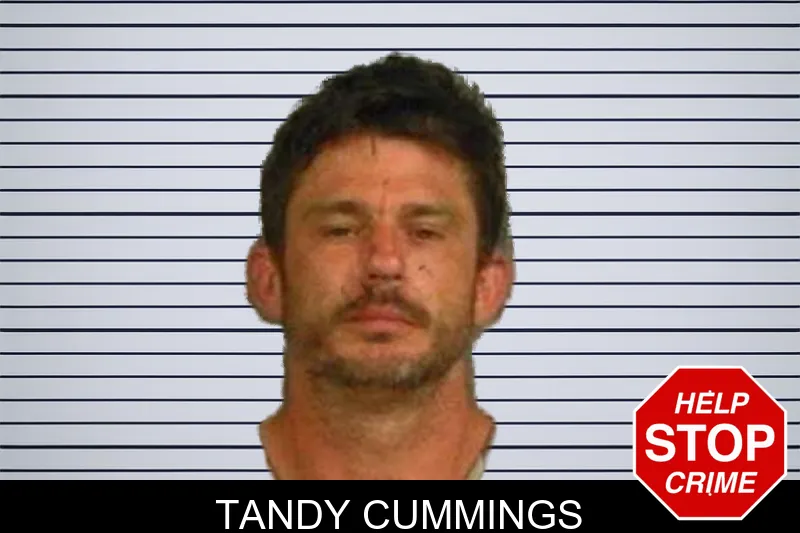 Tandy Cummings mugshot