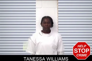 Tanessa Williams mugshot