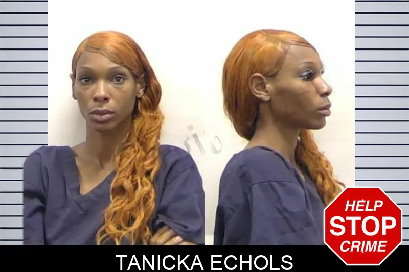 Tanicka Echols mugshot