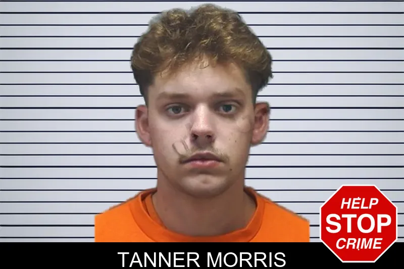 Tanner Morris mugshot