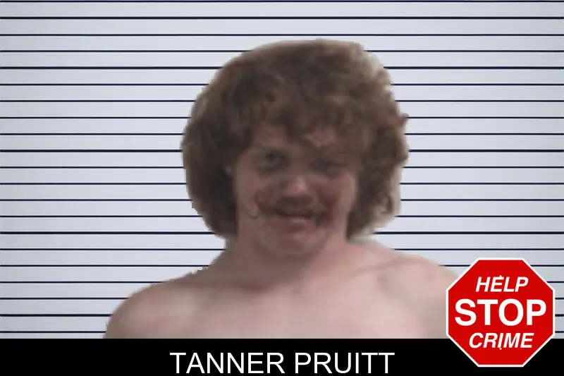 Tanner Pruitt mugshot