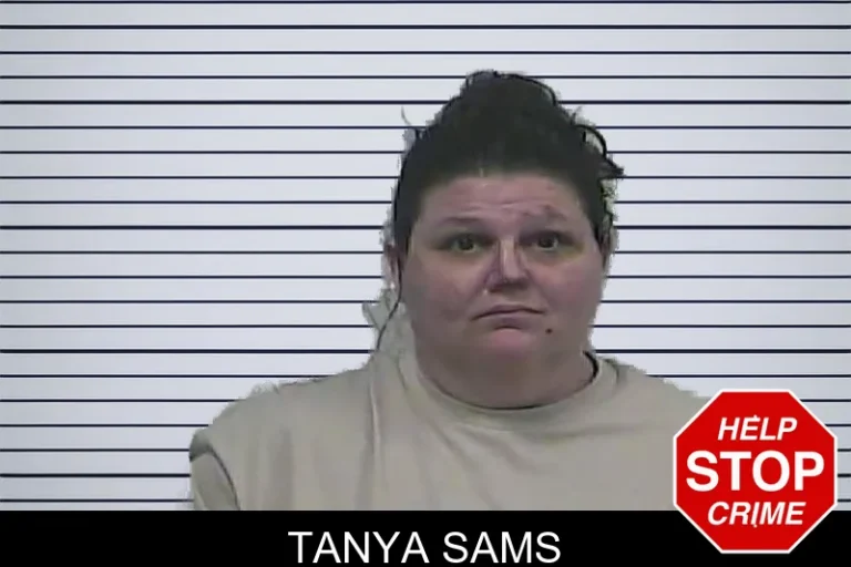 Tanya Sams mugshot – Dawson County , Georgia Tanya Sams