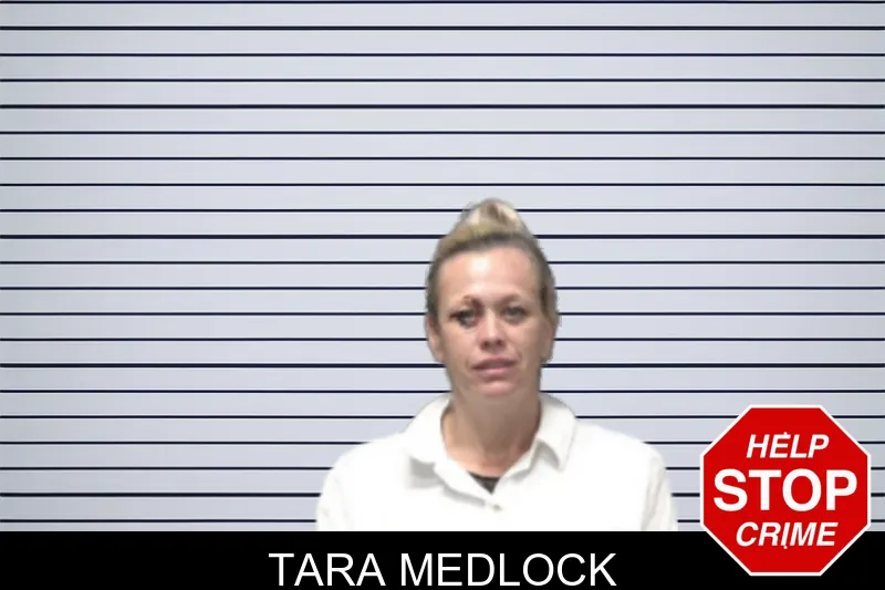 Tara Medlock mugshot