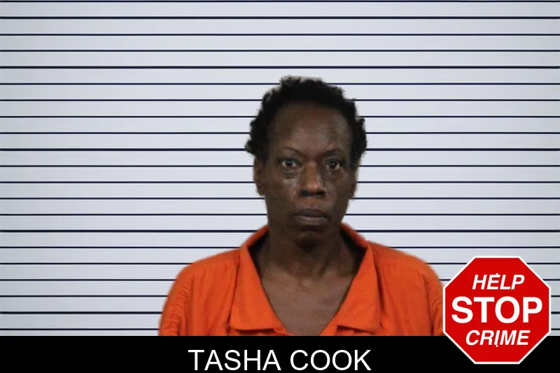 Tasha Cook mugshot