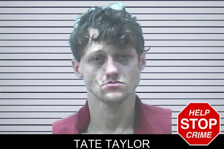 Tate Taylor