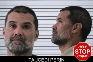 Taucedi Perin mugshot