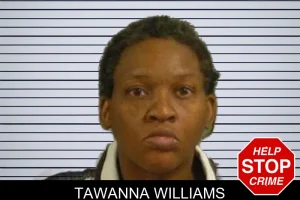 Tawanna Williams mugshot