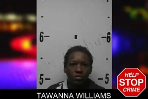 Tawanna Williams mugshot