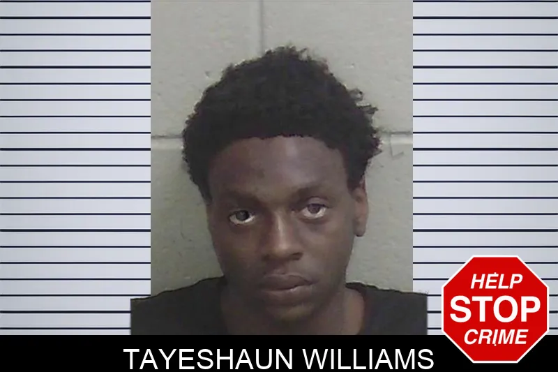 Tayeshaun Williams mugshot – Wayne County , Georgia Tayeshaun Williams mugshot