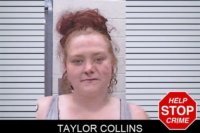 Taylor Collins mugshot – Screven County , Georgia Taylor Collins mugshot