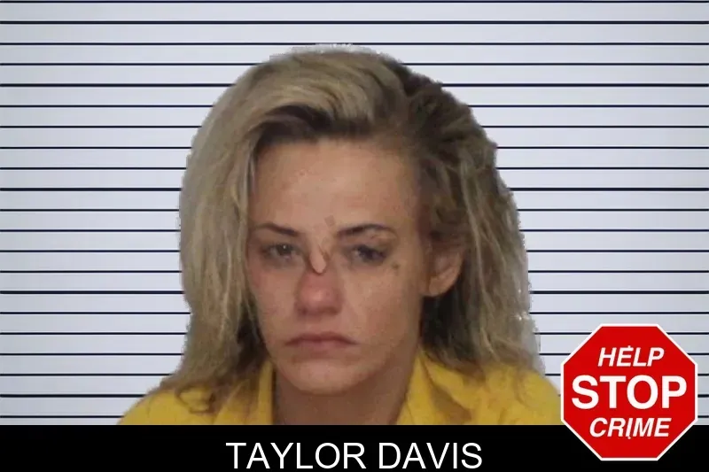 Taylor Davis mugshot