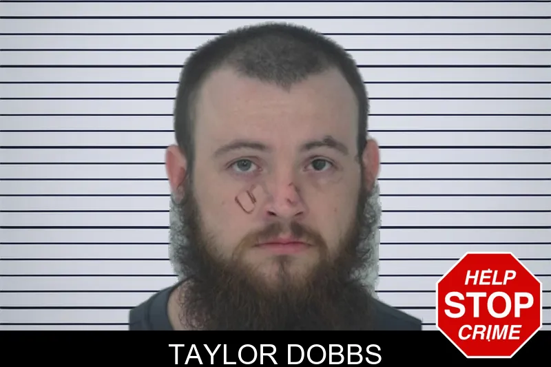 Taylor Dobbs mugshot