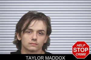 Taylor Maddox mugshot