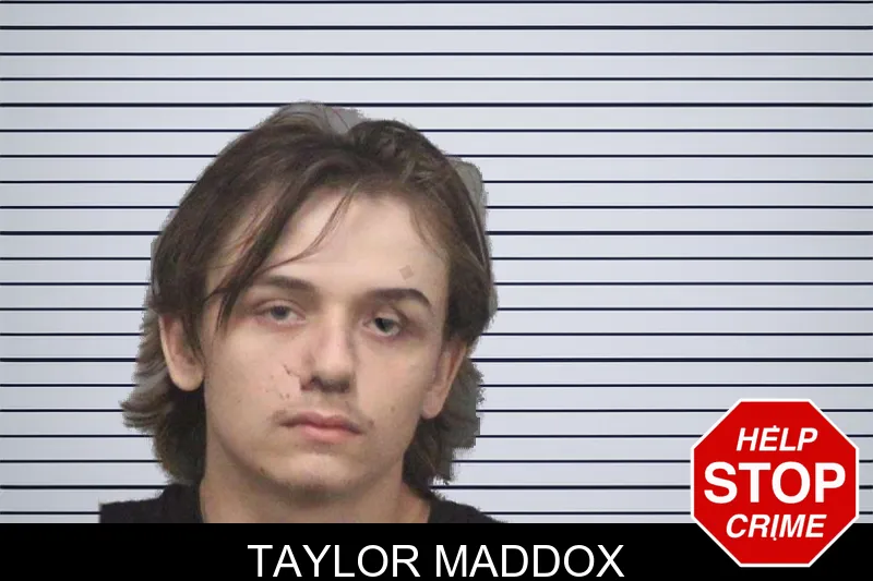 Taylor Maddox mugshot