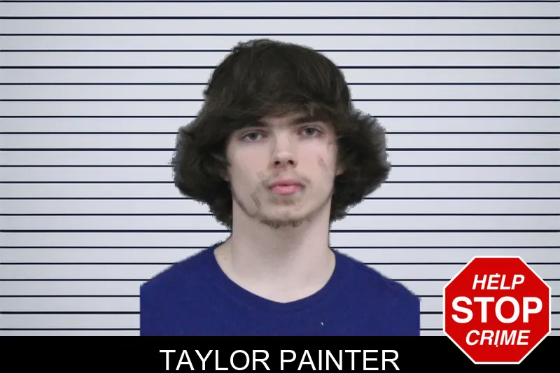 Taylor Painter mugshot