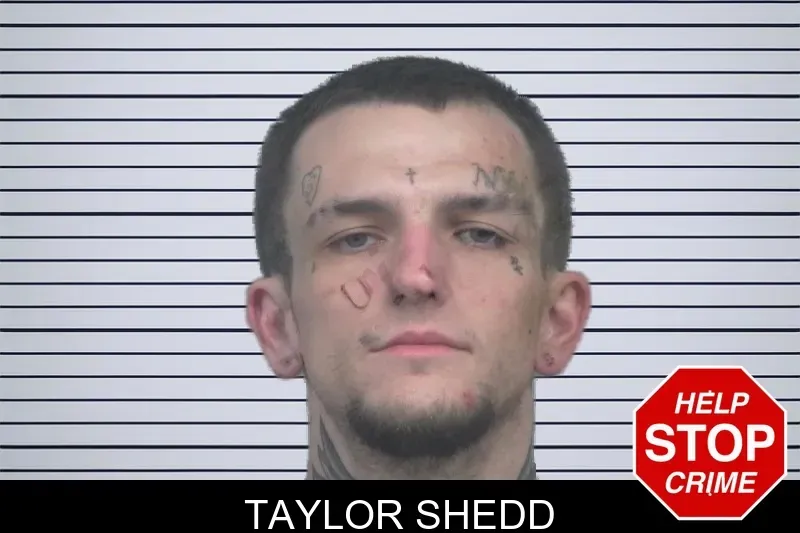 Taylor Shedd mugshot
