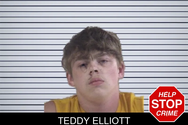 Teddy Elliott mugshot