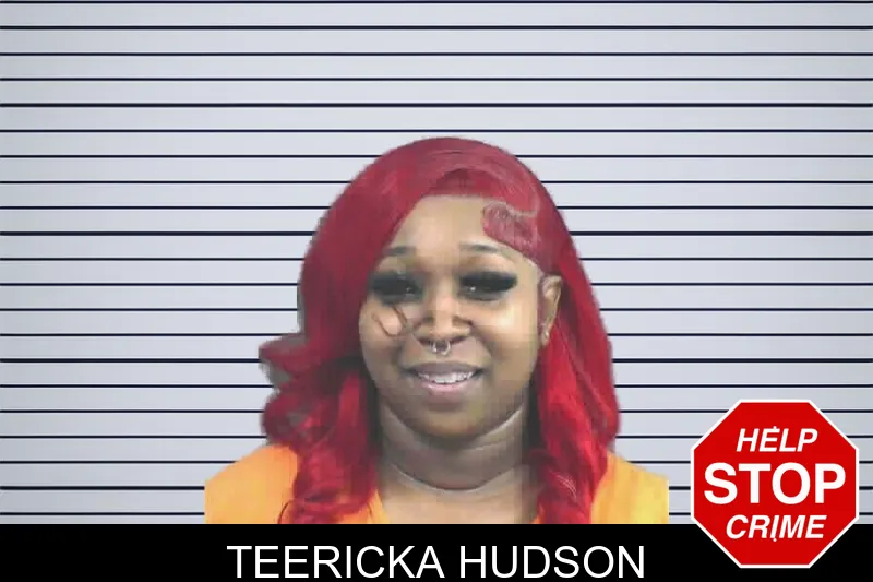 Teericka Hudson mugshot