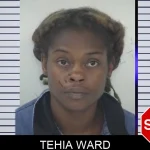 Tehia Ward mugshot – Fayette County , Georgia Tehia Ward mugshot