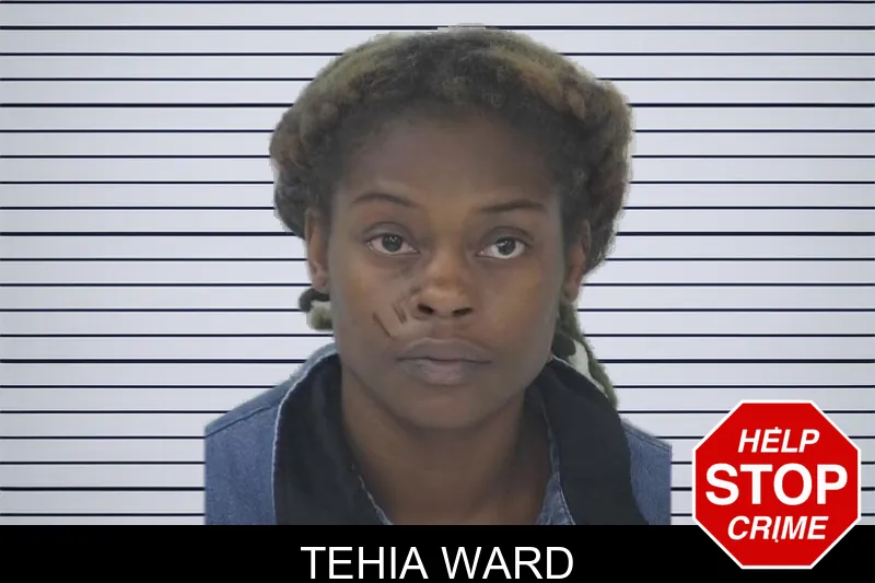 Tehia Ward mugshot – Fayette County , Georgia Tehia Ward mugshot