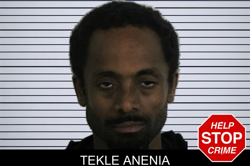 Tekle Anenia mugshot