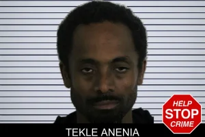 Tekle Anenia mugshot