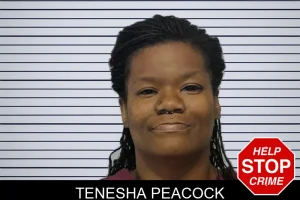 Tenesha Peacock mugshot