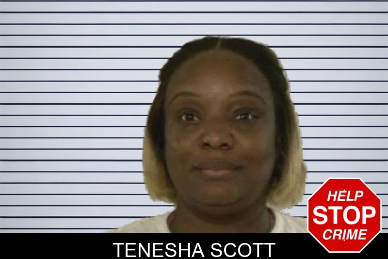 Tenesha Scott mugshot