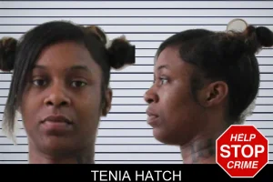 Tenia Hatch mugshot