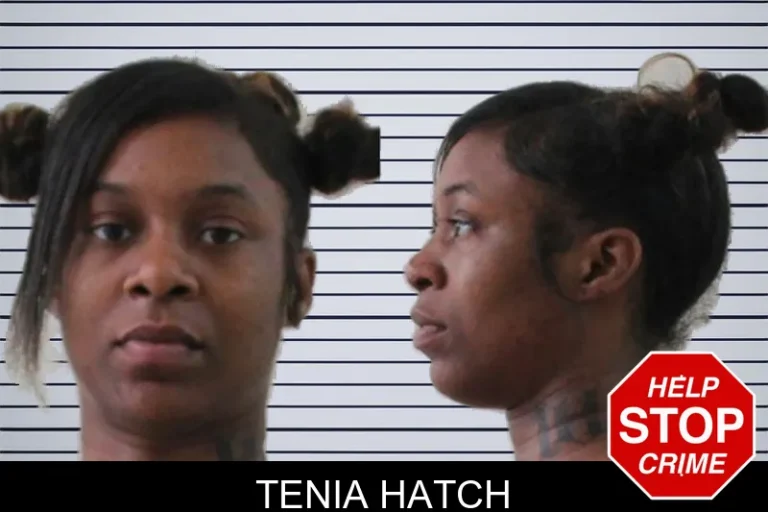 Tenia Hatch