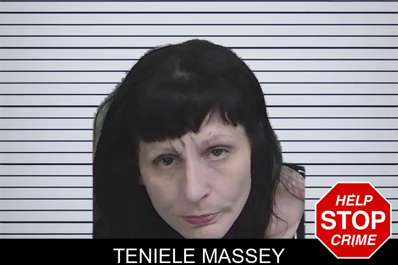 Teniele Massey mugshot – Wayne County , Georgia Teniele Massey mugshot