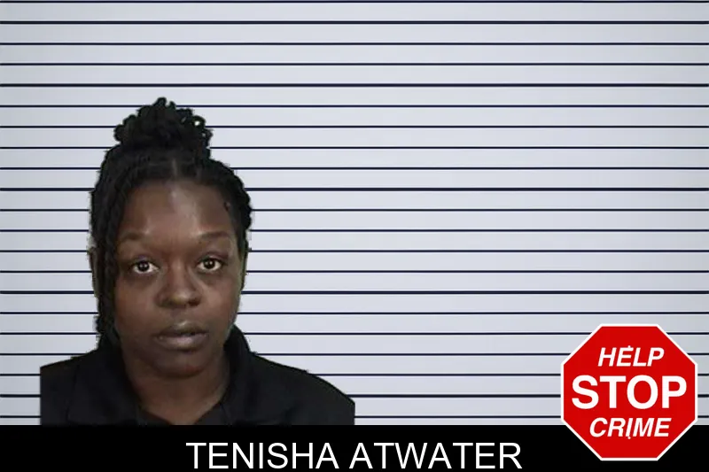 Tenisha Atwater mugshot – Camden County , Georgia Tenisha Atwater mugshot