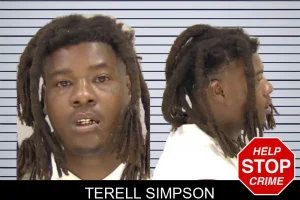 Terell Simpson mugshot
