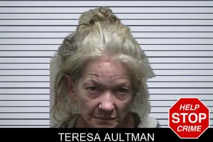 Teresa Aultman mugshot