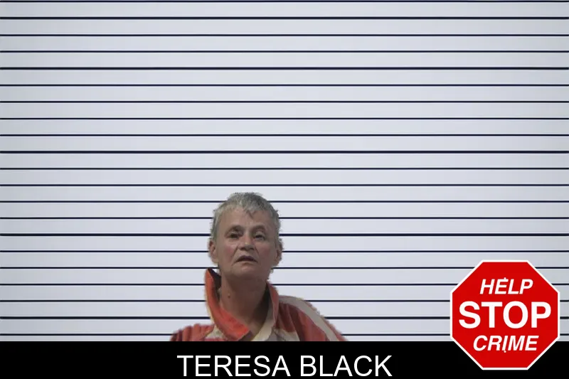 Teresa Black mugshot
