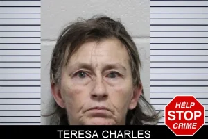 Teresa Charles mugshot