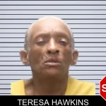 Teresa Hawkins mugshot