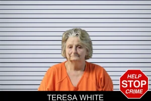 Teresa White mugshot