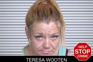 Teresa Wooten mugshot