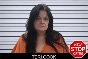 Teri Cook mugshot