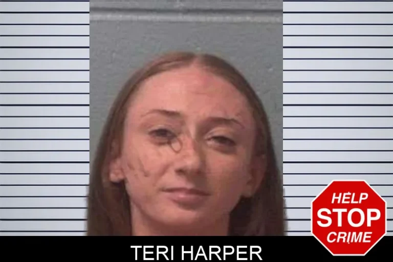 Teri Harper mugshot – Franklin County , Georgia Teri Harper