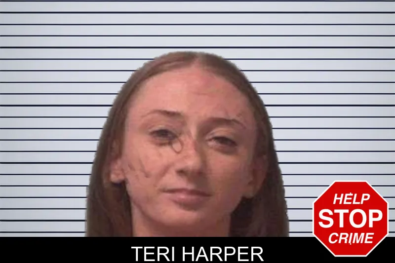 Teri Harper mugshot