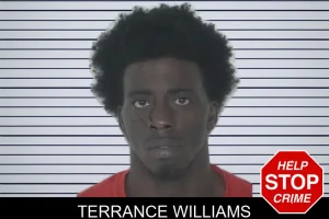 Terrance Williams mugshot
